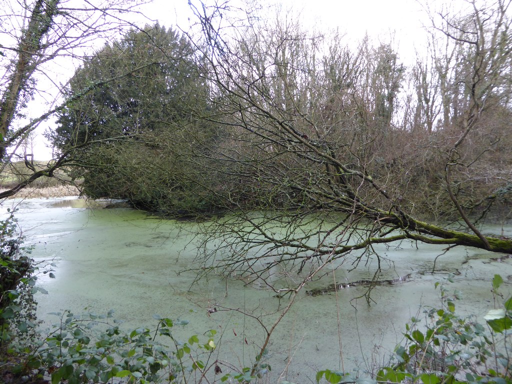 PIicture of Ashpherton Castle
