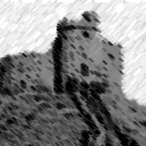 Castellogy logo